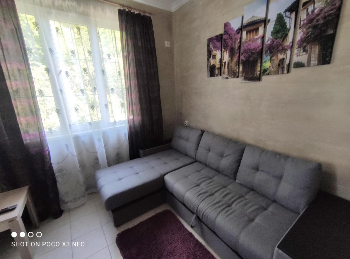 Guest House Chalet Agave Gagra Extérieur photo