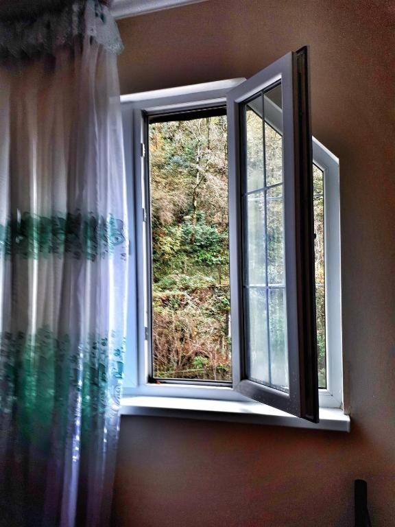 Guest House Chalet Agave Gagra Extérieur photo