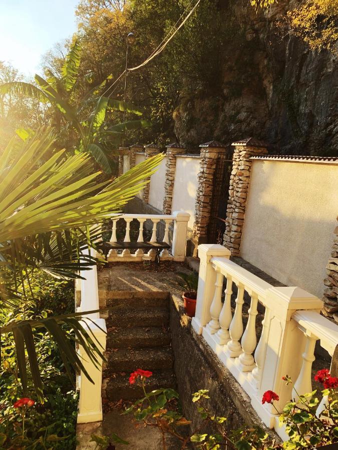 Guest House Chalet Agave Gagra Extérieur photo