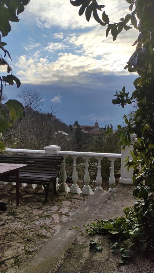 Guest House Chalet Agave Gagra Extérieur photo